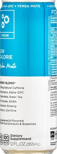 FOCUSAID Energy Blend | Nootropics Drink for Brain Fuel | Alpha-GPC, GABA, B-Complex, Yerba Mate, Green Tea | 100% Clean |100mg Natural Caffeine | 12-oz. can