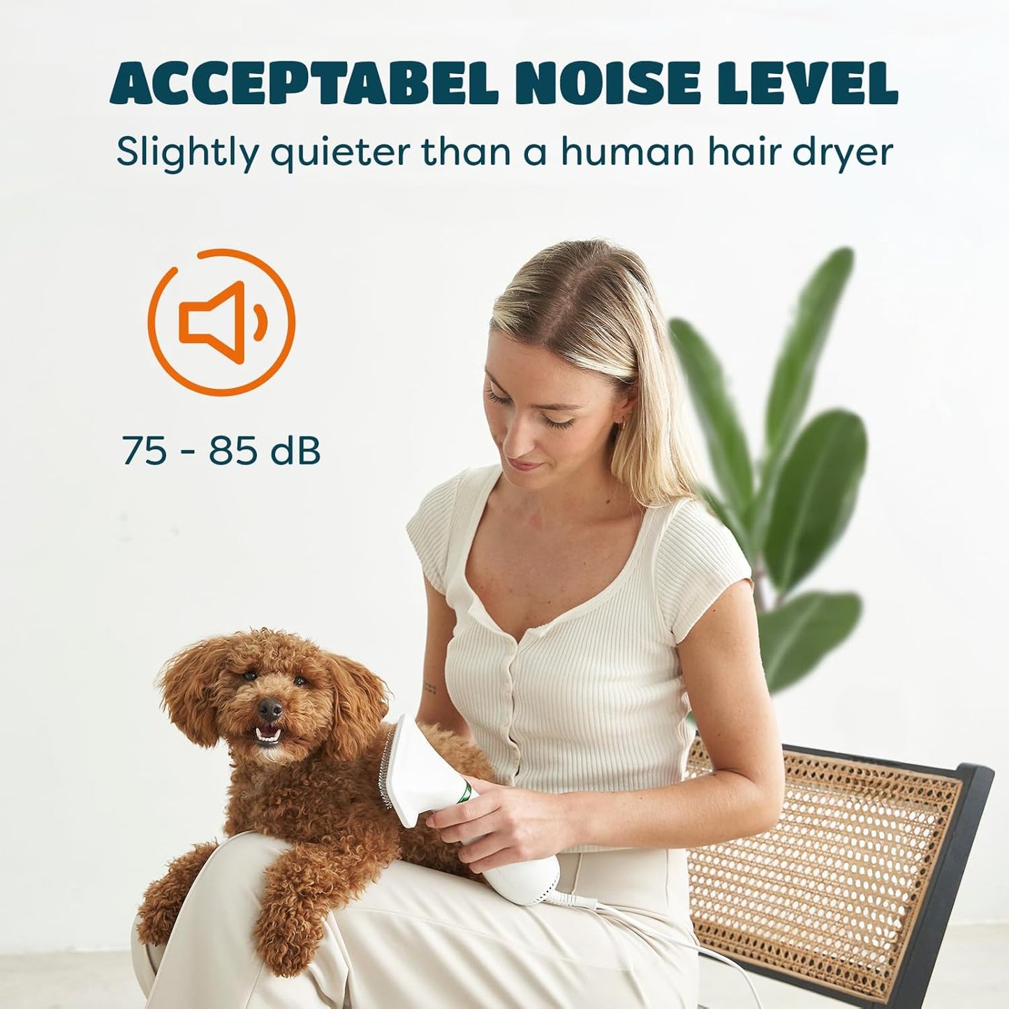 2-in-1 Dog Hair Dryer with Slicker Brush for Small-Sized Dogs and Cats | Pet Hair Dryer | Dog Blow Dryer | 300 Watts, 75-85 dB, Adjustable Temperature, Overheat Protection