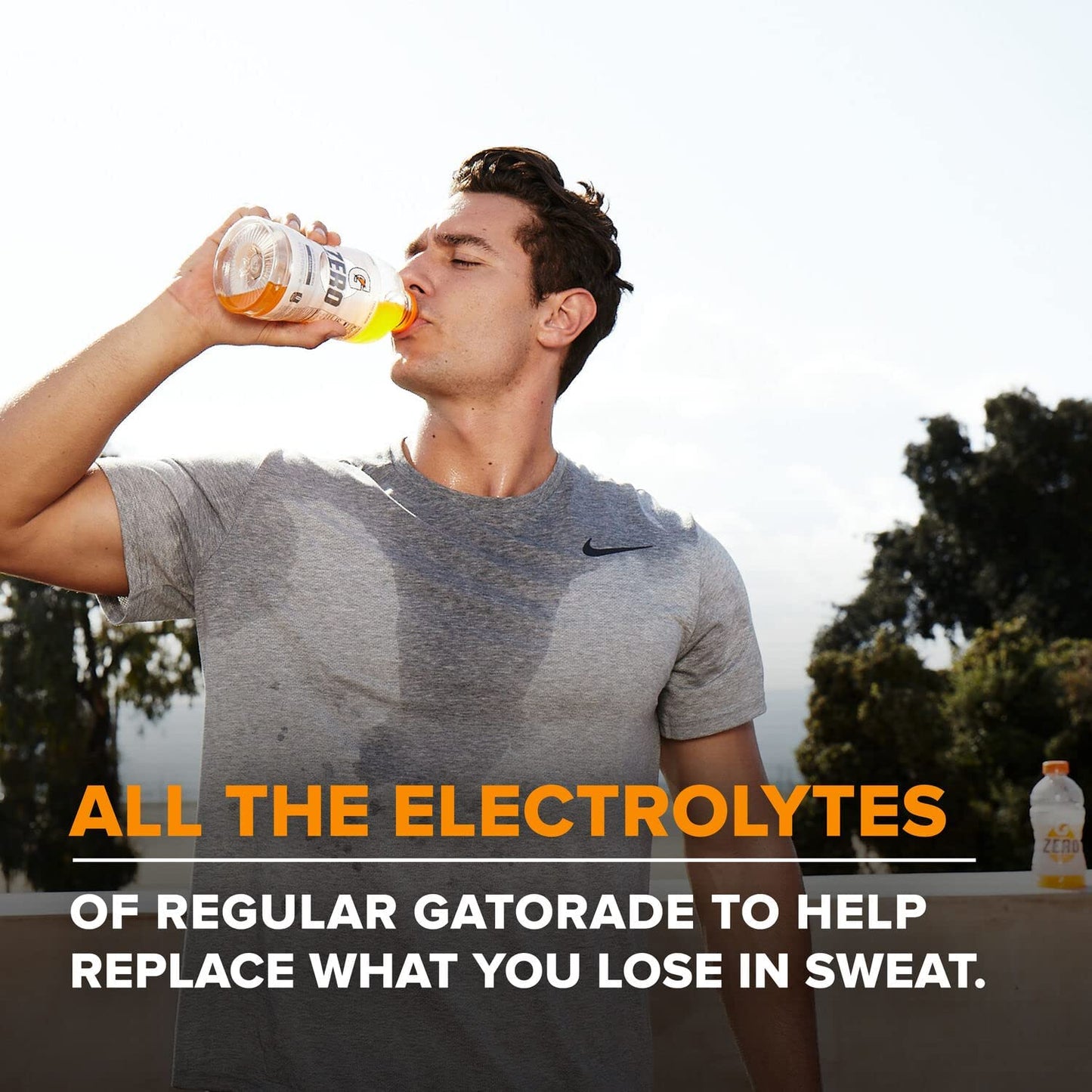 Gatorade Thirst Quencher Zero Sugar Sports Drink, Fruit Punch, 12oz Bottles, 12 Pack, Electrolytes for Rehydration