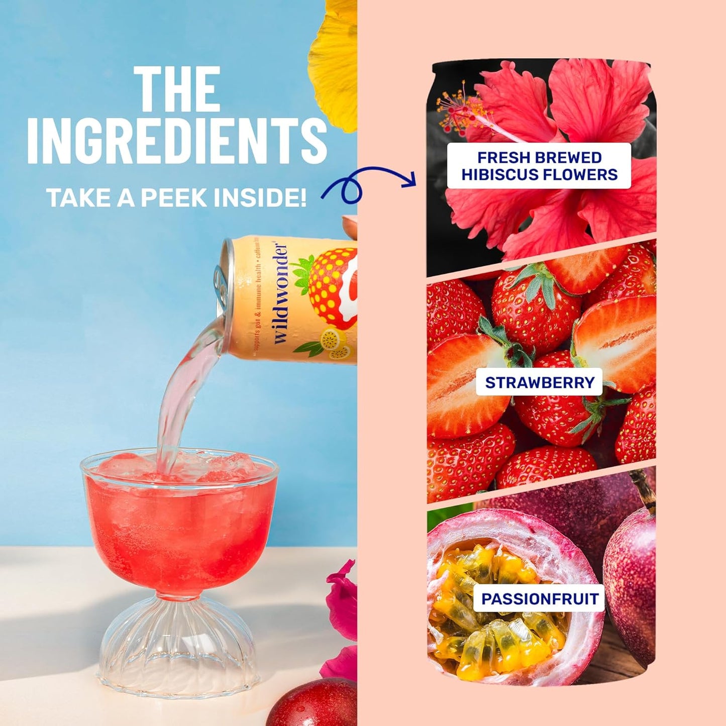wildwonder Sparkling Probiotic Juice Drink w/Gut Health Immunity, Digestion Support, 5g Fiber, Live Probiotics, Caffeine Free, Organic, Low Sugar, 12pk 12oz, Strawberry Passion, As Seen on Shark Tank