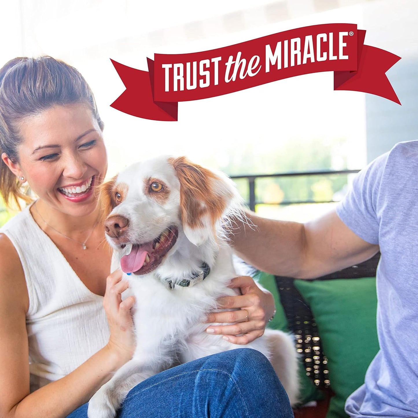 Nature's Miracle Stain and Odor Remover Dog, Odor Control Formula, Accushot Spray 1.33 Gal