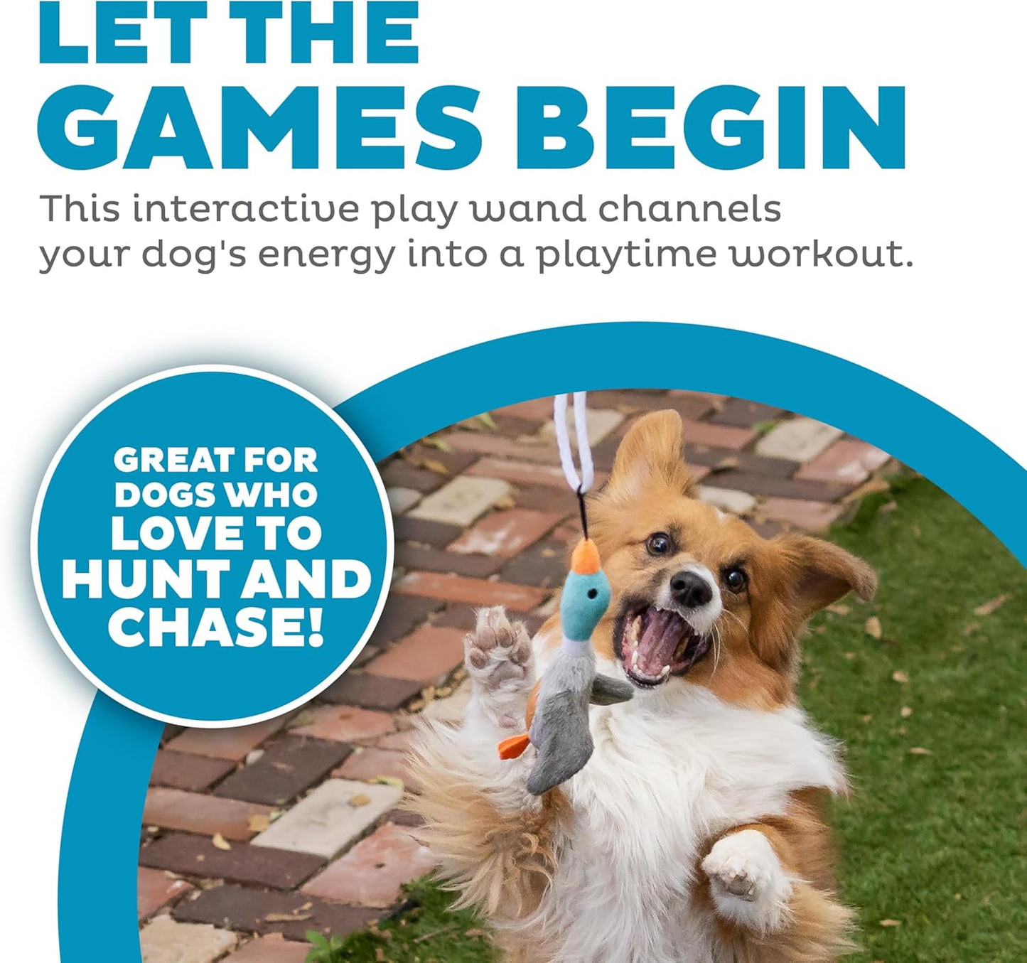 Outward Hound Tail Teaser Interactive Dog Wand Toy, Squeaky Plush Toy Included, Multicolored