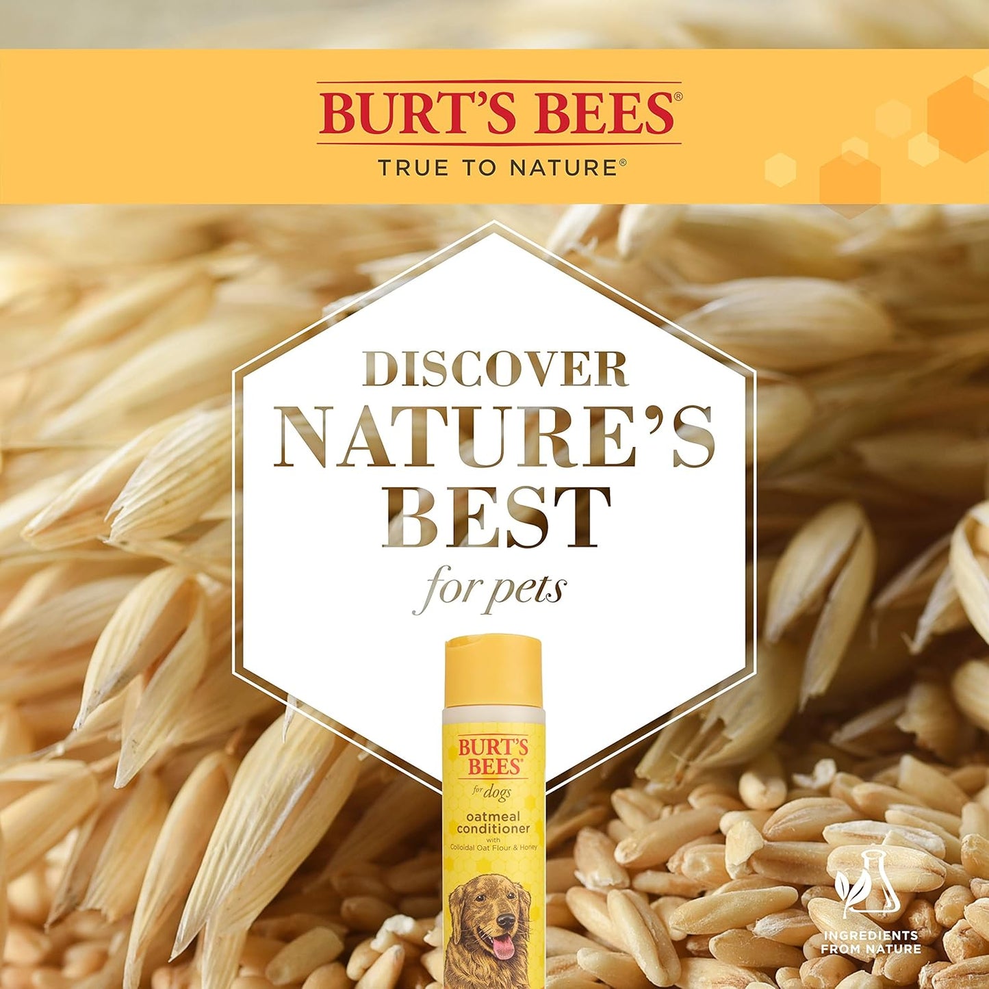 Burt's Bees for Pets Oatmeal Dog Conditioner with Colloidal Oat Flour & Honey - Soothing and Moisturizing Conditioner for Dogs with Dry Skin and Coat, Dog Grooming Supplies, 10 Fl Oz