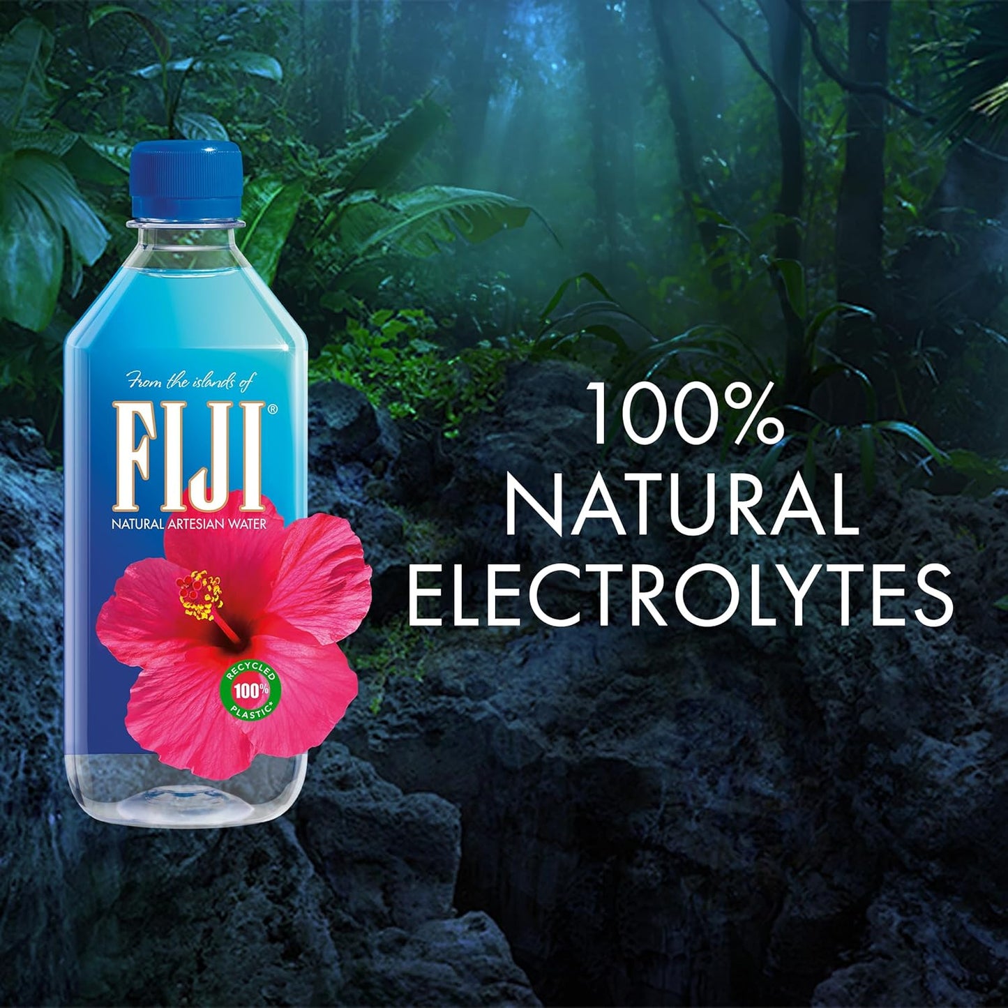 FIJI Natural Artesian Bottled Water 500 mL / 16.9 Fl Oz, 6 Count (Pack of 4)