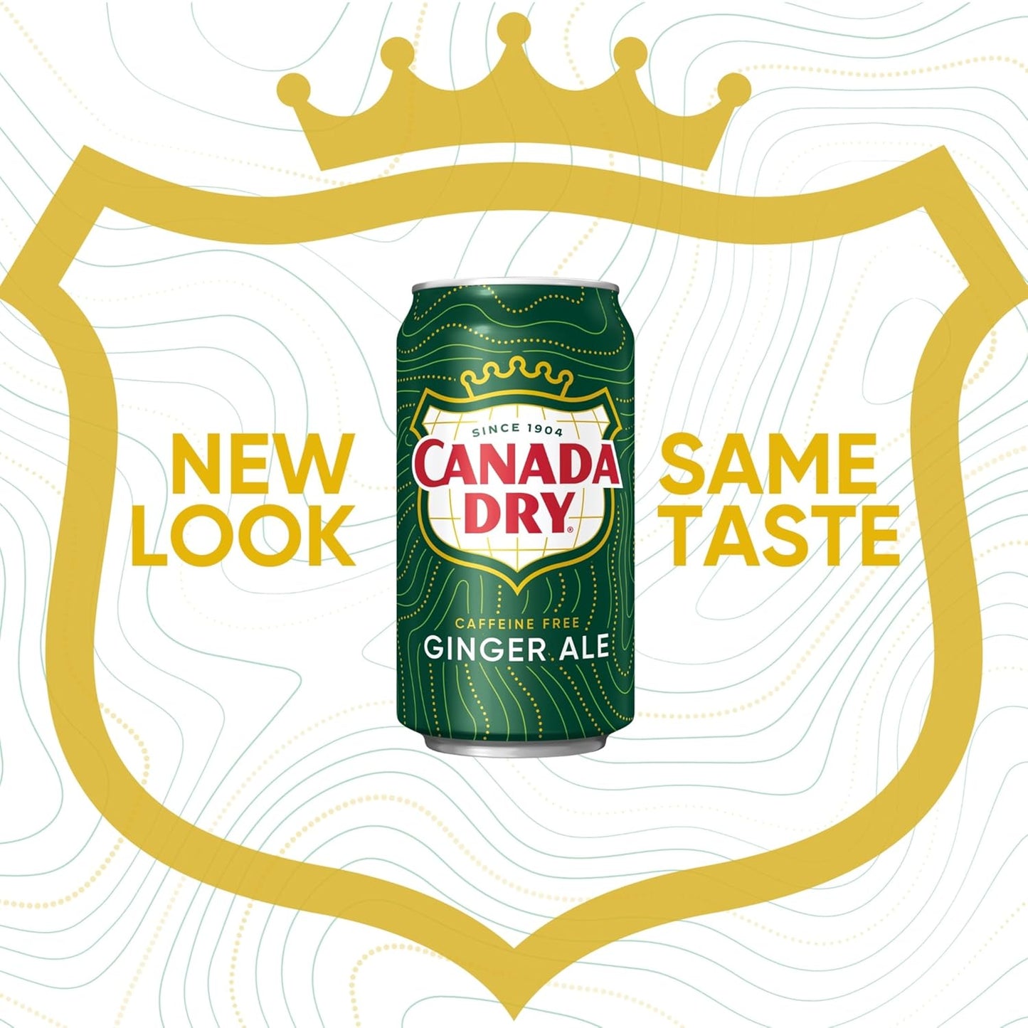 Canada Dry Ginger Ale Soda, 12 fl oz cans, 12 pack