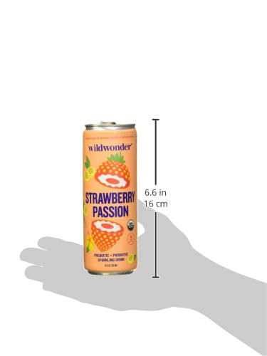 Wild Wonder Organic Strawberry Passion Sparkling Drink, 12 FZ