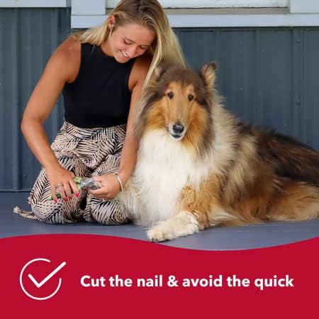 Coastal Pet Safari Professional Dog Nail Trimmer - Dog Nail Clippers for Grooming - Dog Claw Care for Small & Large Dogs - Nail Trimmer - Pet Supplies for Dog Grooming - Standard, 5" x 1.5"