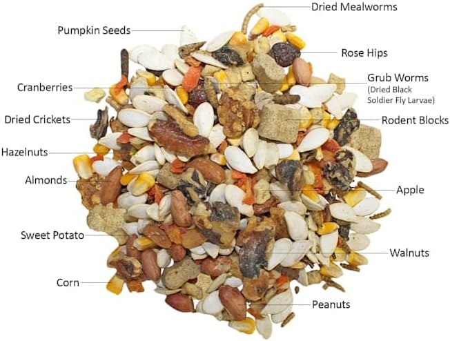 Squirrel Complete (1.75 lb.) - Healthy Natural Food - Nutritionally Complete Diet for Pet & Captive Squirrels - Ground Squirrels, Grey Squirrels, Flying Squirrels, & Chipmunks