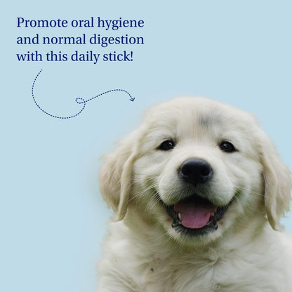 PetLab Co. Dental Sticks – Dog Dental Chews -Target Plaque & Tartar Build-Up at The Source - Designed to Maintain Your Dog’s Oral Health, Keep Breath Fresh and Provide Digestive Help (24 Sticks)