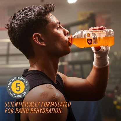 Gatorlyte Rapid Rehydration Electrolyte Beverage, Variety Pack 2.0, 20 Fl Oz (Pack of 12)