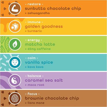 Feel Vegan Protein Bars - Keto, Gluten Free, Organic, 15g Protein - Dairy Free, Low Sugar - Variety Pack (6 Flavors, 6 Pack)