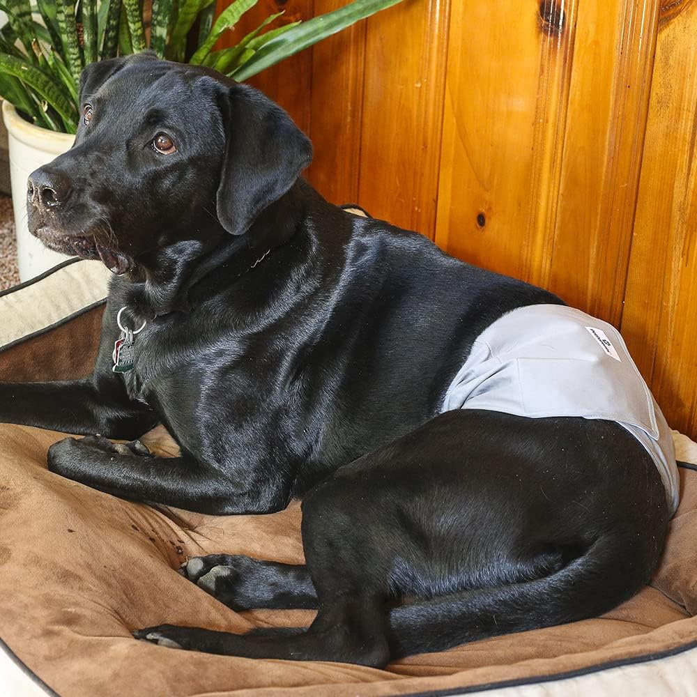 Pet Parents Premium Washable Belly Bands for Male Dogs & Extendrs, (3pack) of Male Dog Diapers & Male Dog Belly Bands, Color: Natural, Size: Small Dog Diapers Male