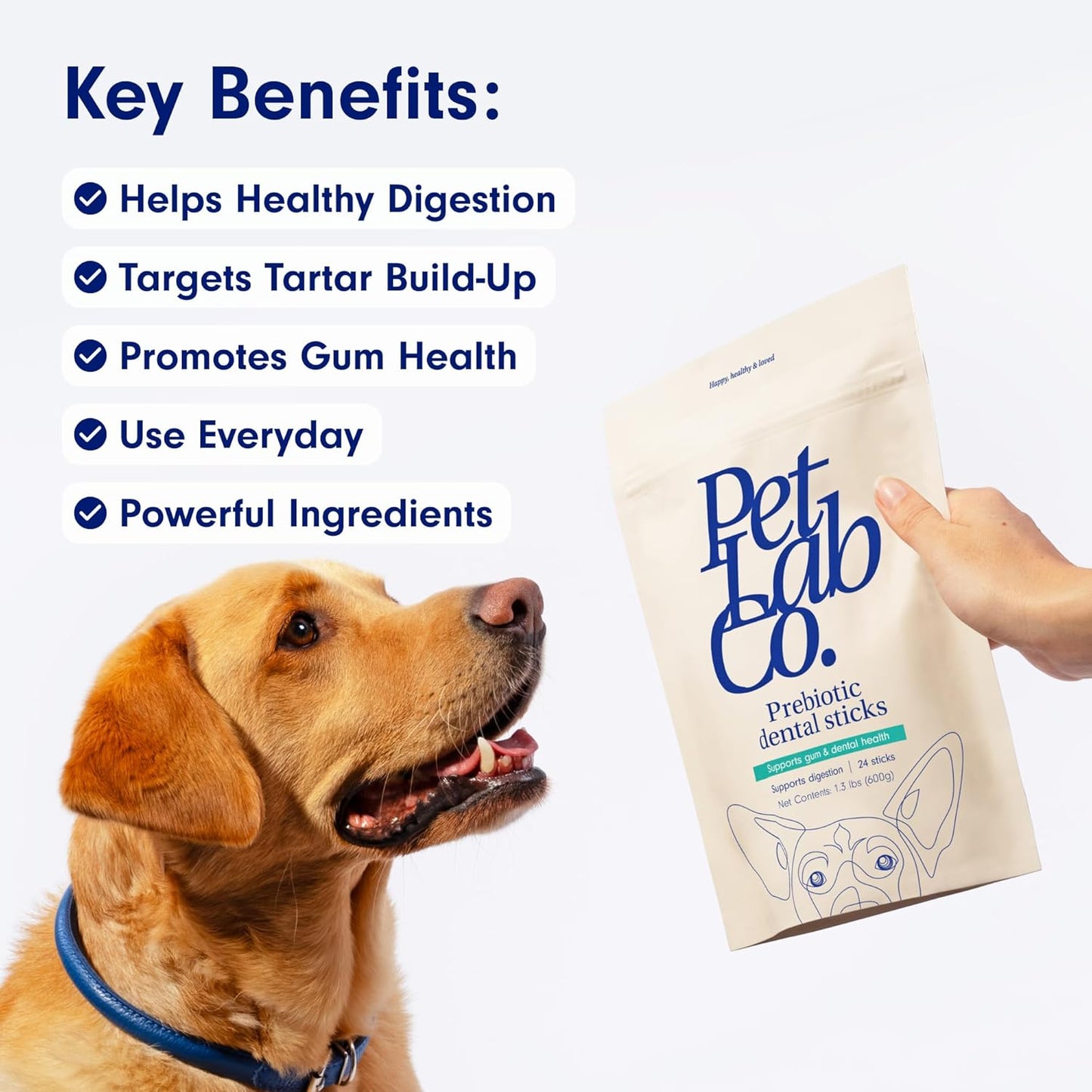 PetLab Co. Dental Sticks – Dog Dental Chews -Target Plaque & Tartar Build-Up at The Source - Designed to Maintain Your Dog’s Oral Health, Keep Breath Fresh and Provide Digestive Help (24 Sticks)