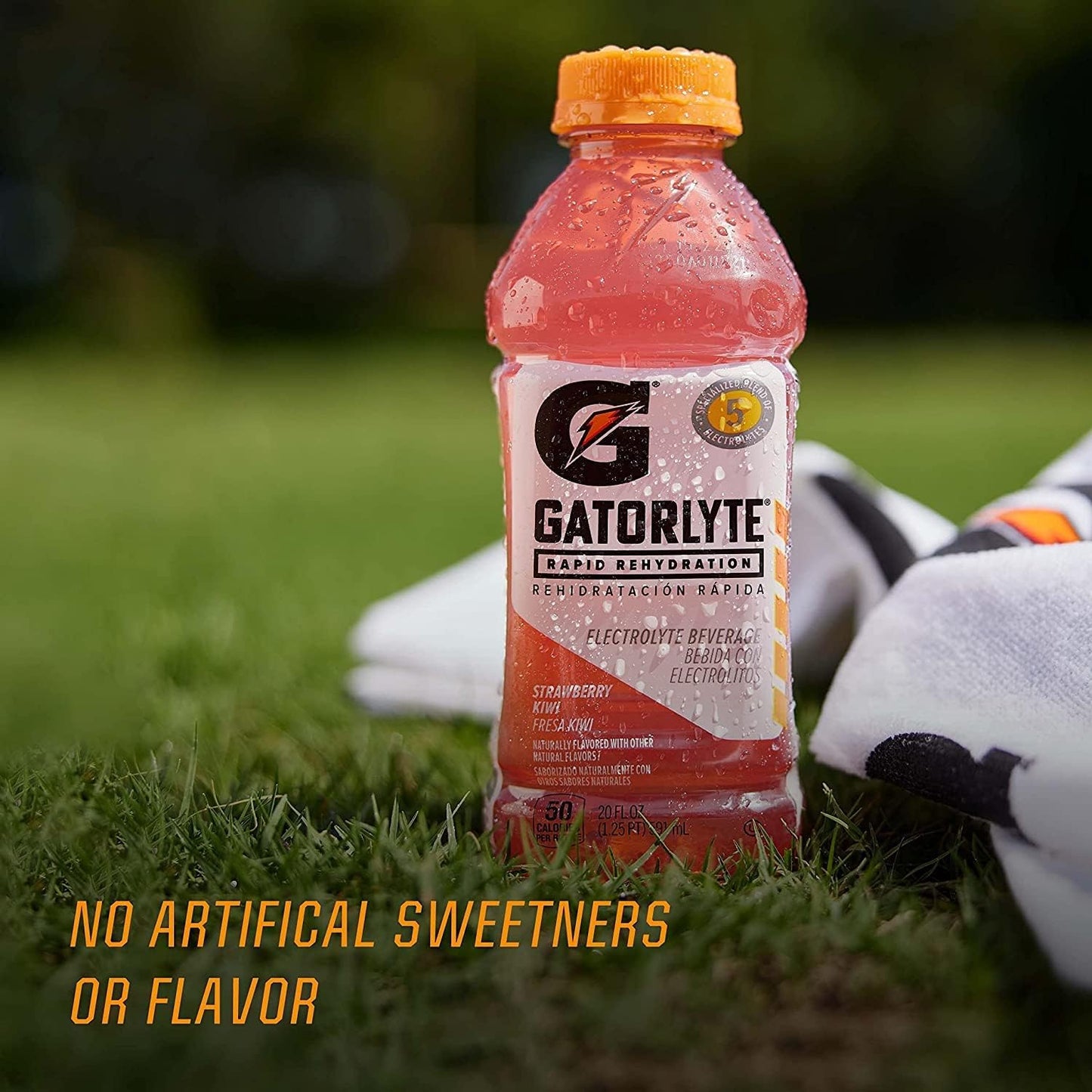 Gatorlyte Rapid Rehydration Electrolyte Beverage, Variety Pack 2.0, 20 Fl Oz (Pack of 12)