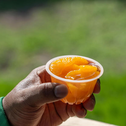 Dole Diced Peaches in 100% Juice^ - Dole Fruit Bowls Snacks - 4 oz Fruit Bowls - 12 Pack