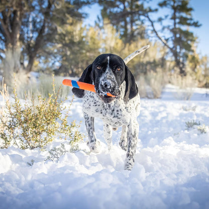 Chuckit! Ultra Fetch Dog Stick for All Breed Sizes - Perfect for Small, Medium, and Large Dogs - Outdoor Fetching and Throwing Pet Toy - Made from Durable Rubber - 12 Inches - Orange and Blue