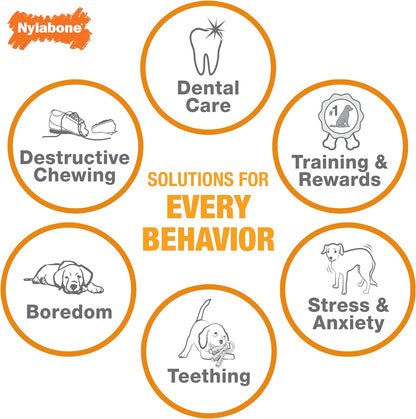 Nylabone Teething Puppy Chew Starter Kit, Two Puppy Chew Toys and Puppy Chew Treat, Puppy Supplies, Chicken & Bacon Flavor, Small/Regular (3 Count)