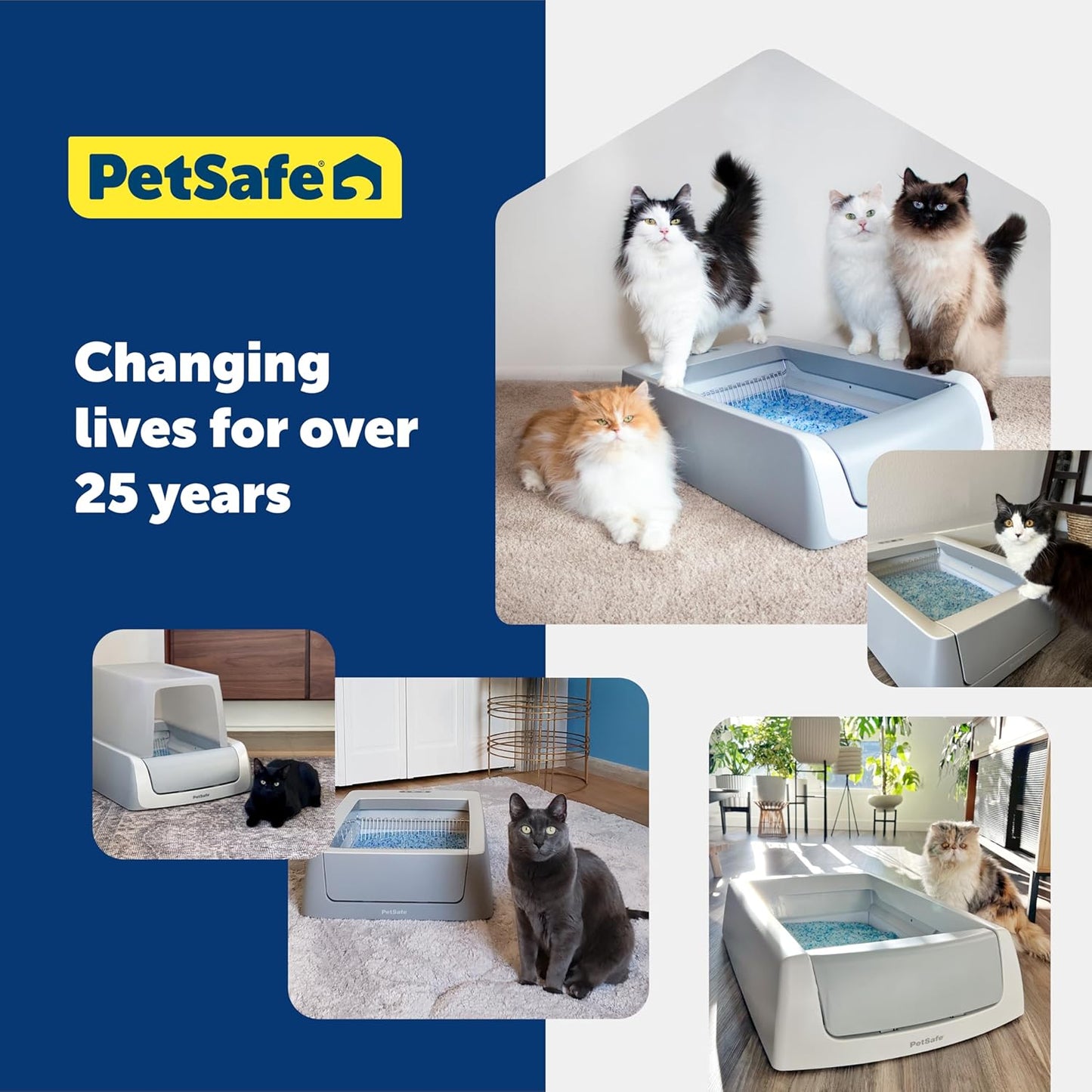 PetSafe ScoopFree Premium Crystal Cat Litter (Two 4.3 Lb Bags of Litter - 8.6 Lb Total) Kitten Litter Quickly Absorbs Urine, Dries Solid Waste, Eliminates Odors 5 Times Faster, Fresh Scent