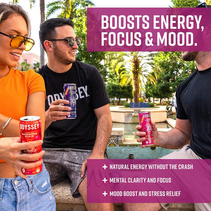 Odyssey Elixir Sparkling Adaptogen Drink, Low Calorie Drinks, L Theanine, Lions Mane, Cordyceps & Green Tea Caffeine for Energy & Focus, Non-GMO, Vegan, Dragon Fruit Lemonade Flavor, 12 Fl oz, 12 Pack