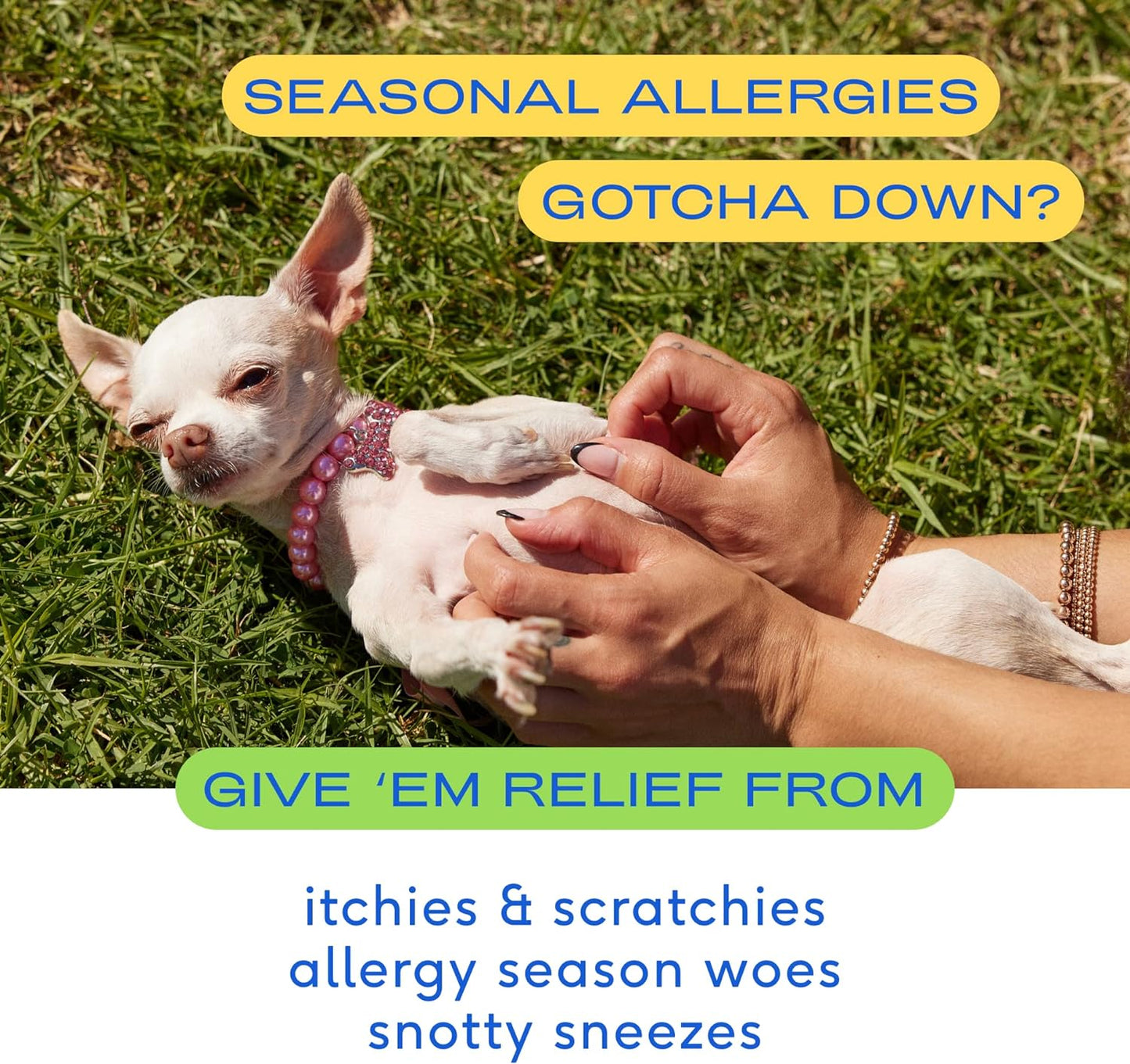 Native Pet Dog Allergy Chews - Dog Itchy Skin Treatment - Anti Itch for Dogs - Dog Allergy Relief - Itch Relief & Allergy Relief for Dogs Itching - Dog Probiotics for Itchy Skin - 30 Chews