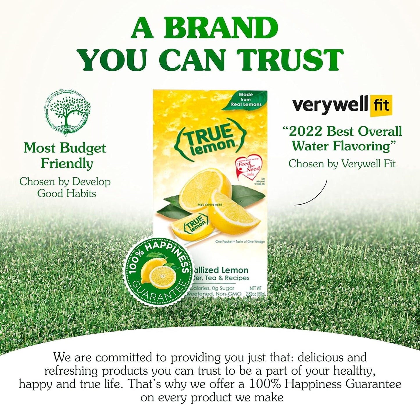 True Lemon Water Enhancer Packets - Sugar-Free, 0 Calorie Drink Mix with Real Lemon Flavor (Bulk Pack of 500)