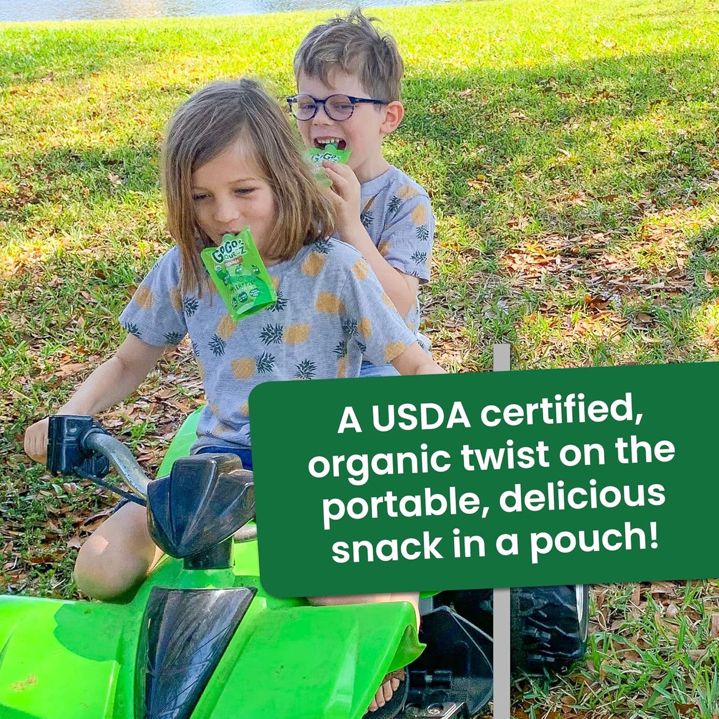 GoGo squeeZ Fruit on the Go Organic Variety Pack, Apple, Strawberry & Banana, 3.2 oz (Pack of 12), Unsweetened Organic Snacks for Kids, No Gluten, Nut & Dairy, Recloseable Cap, BPA Free Pouches